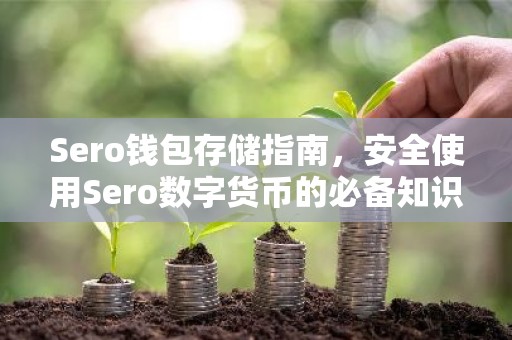 Sero钱包存储指南，安全使用Sero数字货币的必备知识