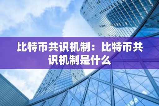 比特币共识机制：比特币共识机制是什么