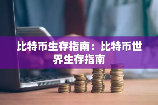 比特币生存指南：比特币世界生存指南