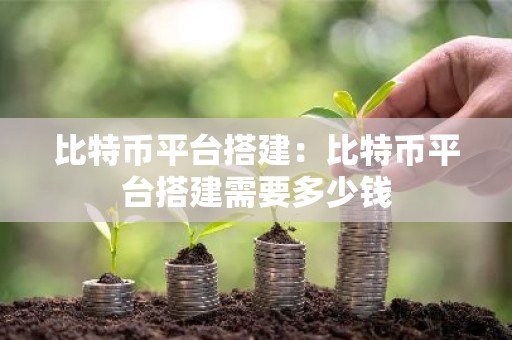 比特币平台搭建：比特币平台搭建需要多少钱