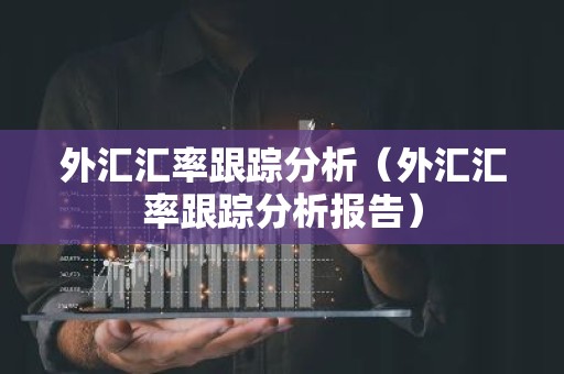 外汇汇率跟踪分析（外汇汇率跟踪分析报告）