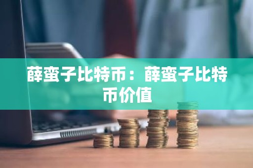 薛蛮子比特币：薛蛮子比特币价值