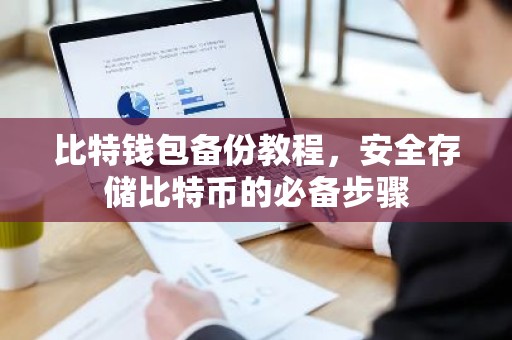 比特钱包备份教程，安全存储比特币的必备步骤