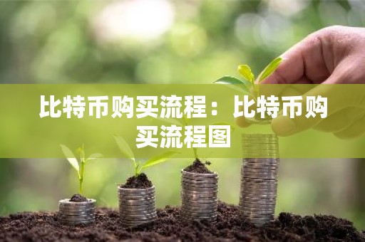 比特币购买流程：比特币购买流程图