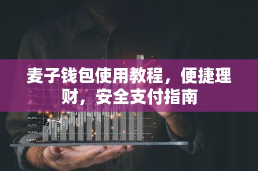 麦子钱包使用教程，便捷理财，安全支付指南