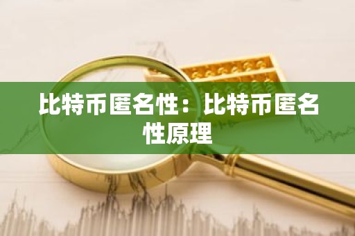比特币匿名性：比特币匿名性原理