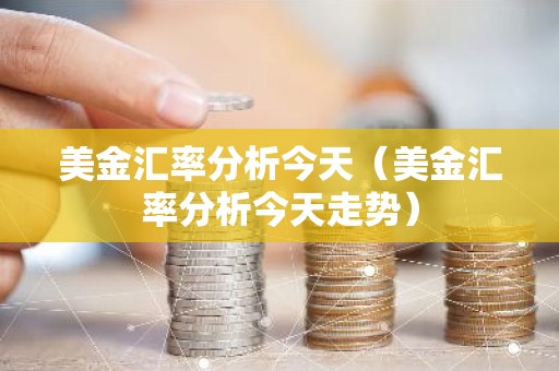 美金汇率分析今天（美金汇率分析今天走势）