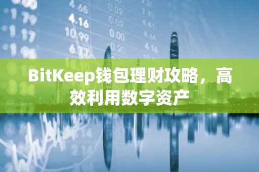 BitKeep钱包理财攻略，高效利用数字资产