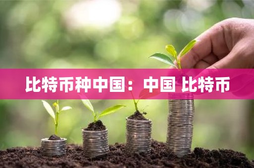 比特币种中国：中国 比特币