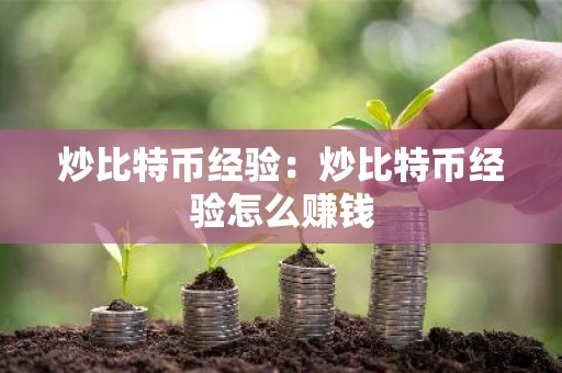 炒比特币经验：炒比特币经验怎么赚钱