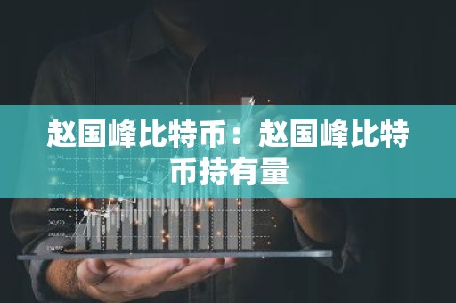 赵国峰比特币：赵国峰比特币持有量