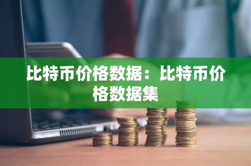 比特币价格数据：比特币价格数据集