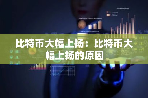 比特币大幅上扬：比特币大幅上扬的原因
