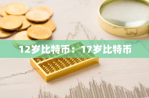 12岁比特币：17岁比特币