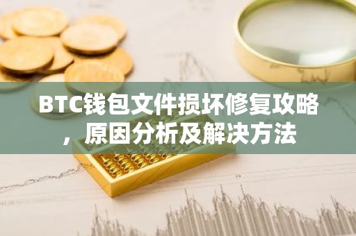 BTC钱包文件损坏修复攻略，原因分析及解决方法