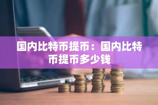 国内比特币提币：国内比特币提币多少钱