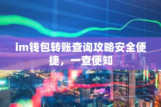 im钱包转账查询攻略安全便捷，一查便知