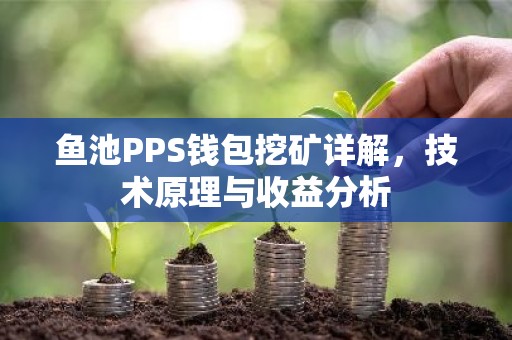 鱼池PPS钱包挖矿详解，技术原理与收益分析