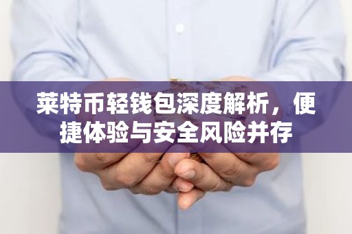 莱特币轻钱包深度解析，便捷体验与安全风险并存