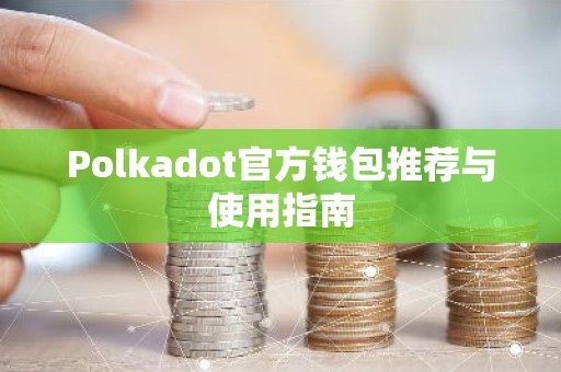 Polkadot官方钱包推荐与使用指南