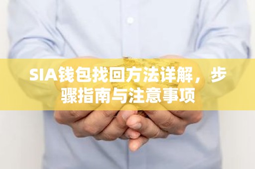 SIA钱包找回方法详解，步骤指南与注意事项