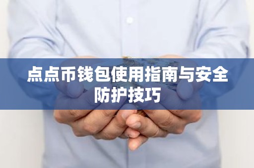 点点币钱包使用指南与安全防护技巧