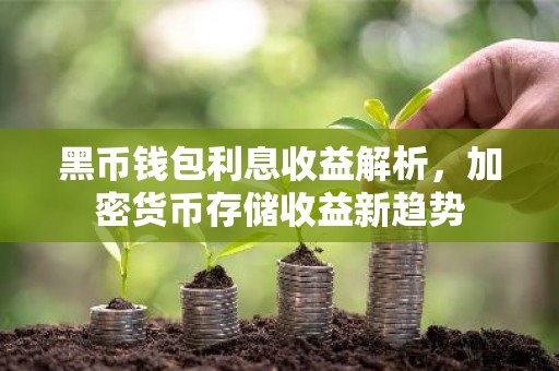 黑币钱包利息收益解析，加密货币存储收益新趋势