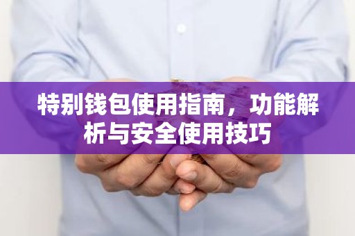 特别钱包使用指南，功能解析与安全使用技巧
