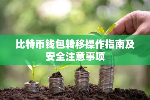 比特币钱包转移操作指南及安全注意事项