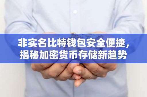非实名比特钱包安全便捷，揭秘加密货币存储新趋势