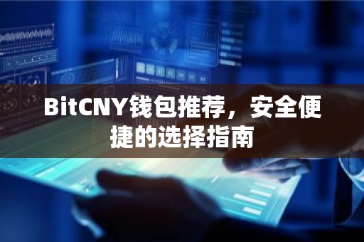 BitCNY钱包推荐，安全便捷的选择指南