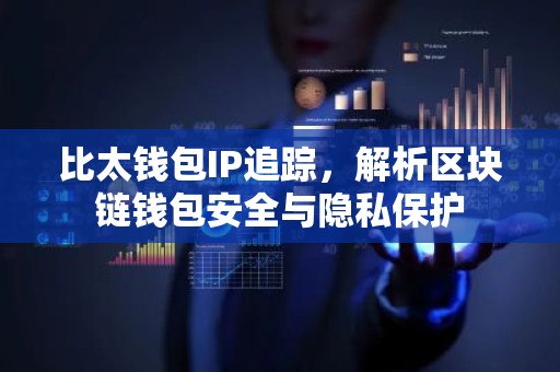 比太钱包IP追踪，解析区块链钱包安全与隐私保护