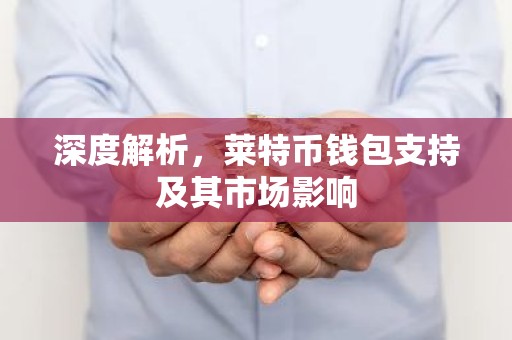 深度解析，莱特币钱包支持及其市场影响