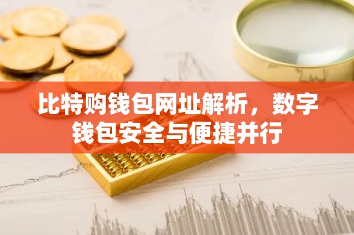 比特购钱包网址解析，数字钱包安全与便捷并行