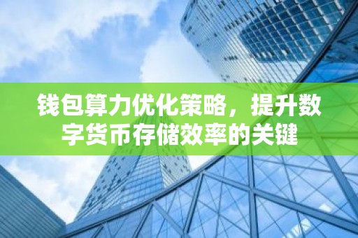 钱包算力优化策略，提升数字货币存储效率的关键