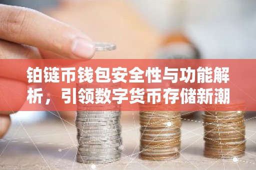 铂链币钱包安全性与功能解析，引领数字货币存储新潮流