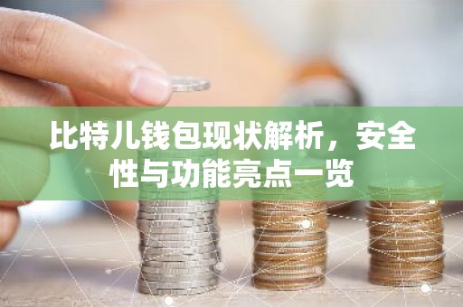 比特儿钱包现状解析，安全性与功能亮点一览