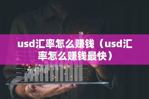 usd汇率怎么赚钱（usd汇率怎么赚钱最快）