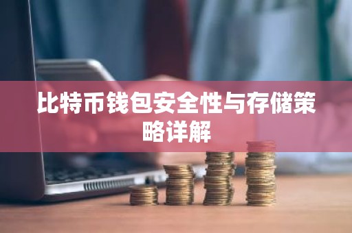 比特币钱包安全性与存储策略详解