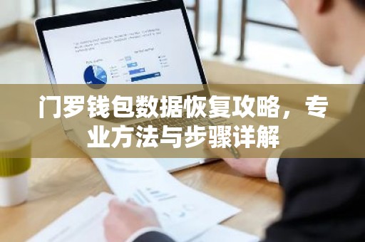 门罗钱包数据恢复攻略，专业方法与步骤详解