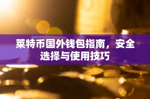 莱特币国外钱包指南，安全选择与使用技巧
