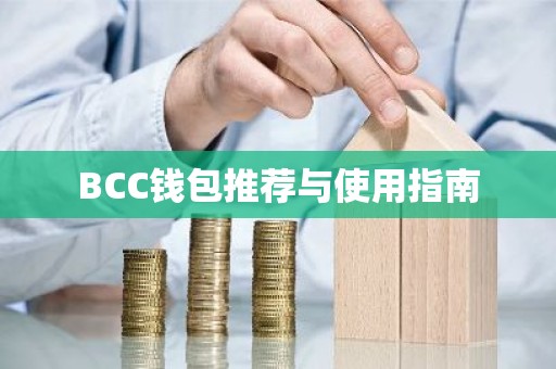 BCC钱包推荐与使用指南