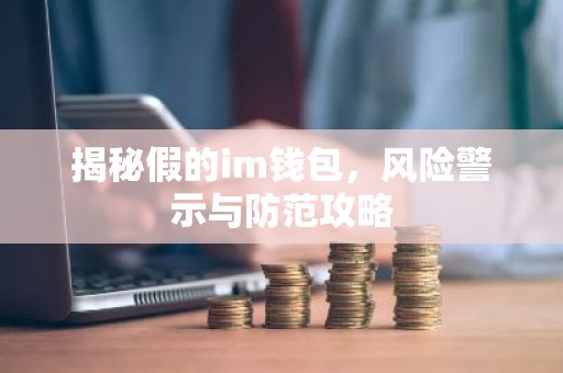 揭秘假的im钱包，风险警示与防范攻略