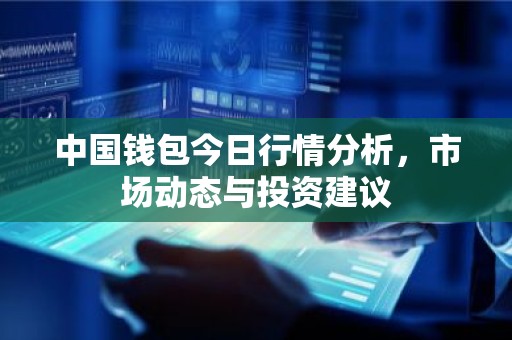 中国钱包今日行情分析，市场动态与投资建议