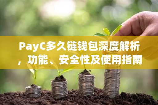 PayC多久链钱包深度解析，功能、安全性及使用指南
