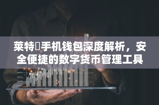 莱特帀手机钱包深度解析，安全便捷的数字货币管理工具