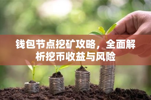钱包节点挖矿攻略，全面解析挖币收益与风险