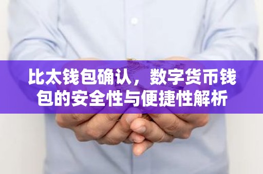 比太钱包确认，数字货币钱包的安全性与便捷性解析