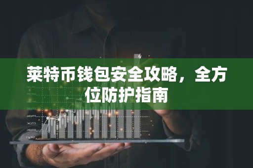 莱特币钱包安全攻略，全方位防护指南