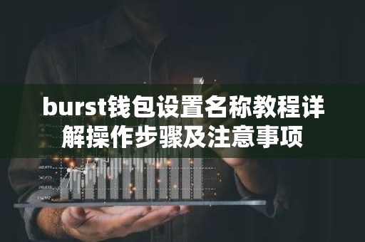 burst钱包设置名称教程详解操作步骤及注意事项